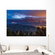 Lightning from Distant Thunderstorm Wall Decal
