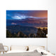 Lightning from Distant Thunderstorm Wall Decal