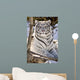 White Bengal Tiger, Forestry Farm, Saskatoon, Saskatchewan Wall Mural