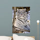 White Bengal Tiger, Forestry Farm, Saskatoon, Saskatchewan Wall Mural