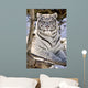 White Bengal Tiger, Forestry Farm, Saskatoon, Saskatchewan Wall Mural