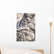 White Bengal Tigers, Forestry Farm, Saskatoon, Saskatchewan Wall Mural