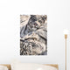 White Bengal Tigers, Forestry Farm, Saskatoon, Saskatchewan Wall Mural
