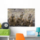 Three Prairie Ground Squirrels, Saskatoon, Saskatchewan Wall Mural
