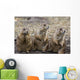 Three Prairie Ground Squirrels, Saskatoon, Saskatchewan Wall Mural