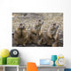 Three Prairie Ground Squirrels, Saskatoon, Saskatchewan Wall Mural