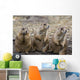 Three Prairie Ground Squirrels, Saskatoon, Saskatchewan Wall Mural