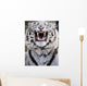 White Bengal Tiger At Forestry Farm, Saskatoon, Saskatchewan Wall Mural