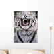 White Bengal Tiger At Forestry Farm, Saskatoon, Saskatchewan Wall Mural