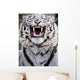 White Bengal Tiger At Forestry Farm, Saskatoon, Saskatchewan Wall Mural