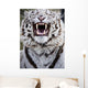 White Bengal Tiger At Forestry Farm, Saskatoon, Saskatchewan Wall Mural