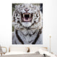 White Bengal Tiger At Forestry Farm, Saskatoon, Saskatchewan Wall Mural
