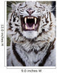 White Bengal Tiger At Forestry Farm, Saskatoon, Saskatchewan Wall Mural