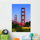 golden gate bridge, san francisco Wall Mural