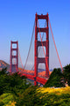 Golden Gate Bridge Wall Mural