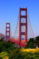 golden gate bridge, san francisco Wall Mural