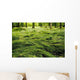 Green Bed Wall Decal