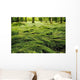 Green Bed Wall Decal