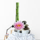 lotus flower, stones and bamboo Wall Decal