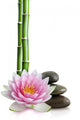 lotus flower, stones and bamboo Wall Decal