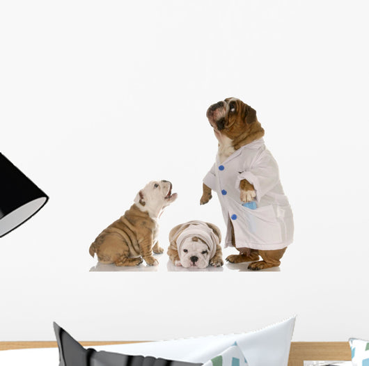 Veterinary Care Wall Mural