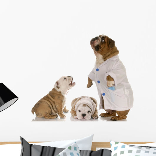 Veterinary Care Wall Mural