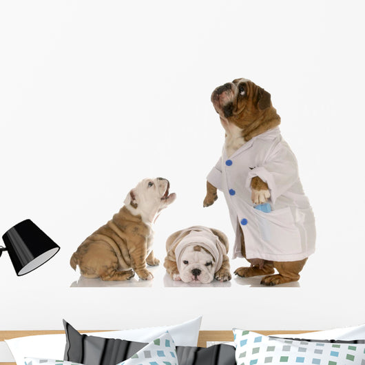 Veterinary Care Wall Mural