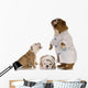 Veterinary Care Wall Mural