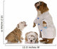 Veterinary Care Wall Mural