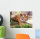 Malayan Tiger Wall Decal