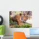 Malayan Tiger Wall Decal