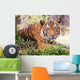 Malayan Tiger Wall Decal