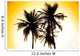 Palms. Tropical forest. Tayrona National Park. Colombia Wall Mural