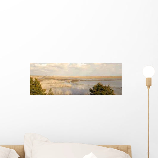 Panoramic Marsh Wall Decal
