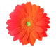 Multicolored Gerbera Flower Wall Mural