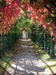 Garden Path Wall Decal