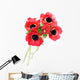 Anemone Wall Decal