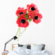 Anemone Wall Decal