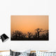 African Sunset Baobab Forest Wall Decal
