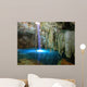 Xenote Cave in Mexico Wall Mural
