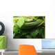 Smooth Greensnake Wall Mural