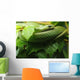 Smooth Greensnake Wall Mural