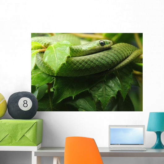 Smooth Greensnake Wall Mural