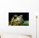 American Toad Wall Mural