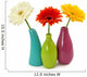 Flowers in Vases Isolated on White Background Wall Decal