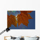 Fall Colors And Sunshine, Ontario Wall Mural