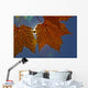 Fall Colors And Sunshine, Ontario Wall Mural