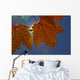 Fall Colors And Sunshine, Ontario Wall Mural