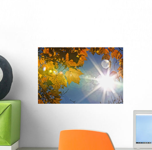 Fall Colors And Sunshine, Ontario Wall Mural