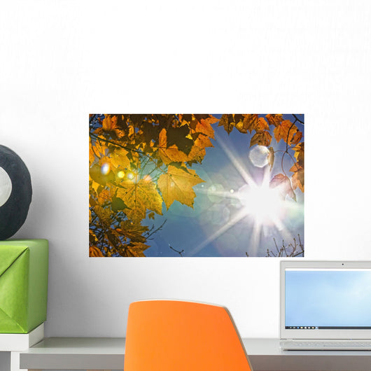 Fall Colors And Sunshine, Ontario Wall Mural
